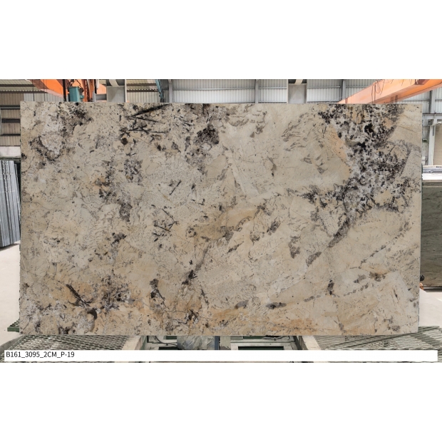 Alba 3095_2CM_P_19.jpg