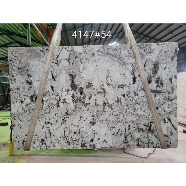 Splendour White 4147-F4_2cm_P_BDL_54.jpg